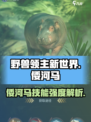 《野兽领主新世界》倭河马🔥技能强度全面解析！