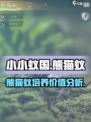 小小蚁国熊猫蚁怎么样介绍