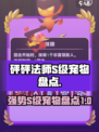 砰砰法师s级宠物有哪些厉害介绍