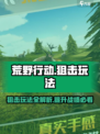 荒野狙击玩法是什么介绍