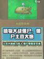 植物大战僵尸：僵尸土豆大炮🔥超强攻略来啦！