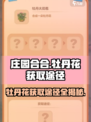 庄园合合牡丹花怎么获得介绍