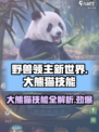 野兽领主新世界🔥大熊猫技能曝光！🐼萌翻全场/Game必备
