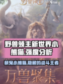 野兽领主新世界小熊猫怎么样介绍