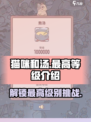 猫咪和汤最高级大曝光！🔥快来看看你能到几级？🎮