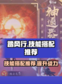 踏风行技能搭配推荐介绍