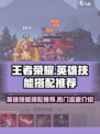 英雄没有闪技能搭配推荐介绍