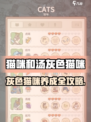 🎮《猫咪和汤》灰色猫咪养成秘籍大公开！