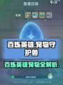 《百炼英雄》宠物大揭秘！🔥守护兽全解析🐉