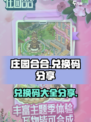 庄园合合兑换码有哪些介绍