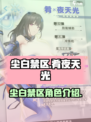 尘白禁区肴夜天光怎么样介绍