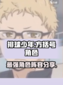 排球少年手游T0角色有哪些介绍