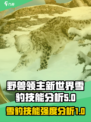 《野兽领主新世界》雪豹技能🔥超强解析来了！💥
