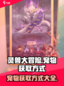 灵兽大冒险宠物怎么获得介绍