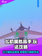 飞机模拟高手好玩吗介绍