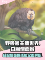 野兽领主新世界🔥白脸僧面猴技能全面解析！Monkey💥