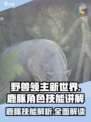 野兽领主新世界🔥鹿豚角色技能全解析！