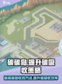 碳碳岛如何提高碳吸收介绍