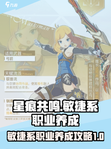星痕共鸣敏捷系职业养成攻略介绍截图1