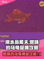 潜水员戴夫燃烧的乌龟怎么捉介绍
