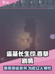 盗墓长生印点香草在哪死的介绍截图1