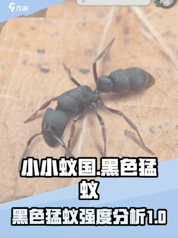 小小蚁国黑色猛蚁值得培养吗介绍截图1