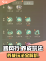 踏风行养成玩法🔥超详细攻略来了！🎉