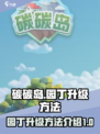 碳碳岛园丁升级🔥秘籍，快速提升等级💡