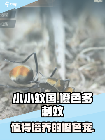 小小蚁国橙色多刺蚁推荐介绍截图1