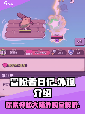 冒险者日记外观有哪些介绍截图1