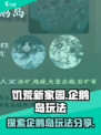 饥荒新家园企鹅岛在哪介绍