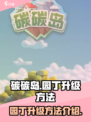 碳碳岛园丁升级秘籍🔥助你轻松满级！💎