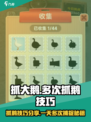 和平精英：一天抓多次大鹅技巧分享🎮🔥