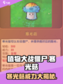 植物大战僵尸：寒光菇🔥超强攻略来了！