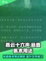 燕云十六声悬壶医术用法介绍介绍