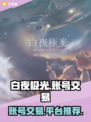 白夜极光账号交易🔥安全平台推荐🎉