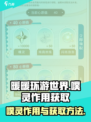 无限暖暖噗灵有什么用介绍