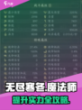 无尽寒冬魔法师玩法攻略介绍