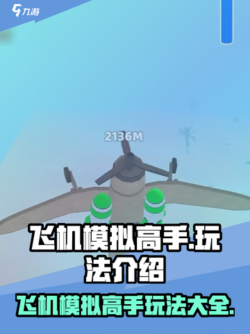 飞机模拟高手玩法介绍介绍截图1