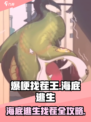 爆梗找茬王找出全部可疑点介绍