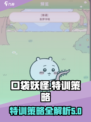 口袋吉伊卡哇特训策略介绍
