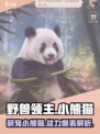 野兽领主新世界🔥小熊猫萌宠养成秘籍🐼
