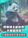 野兽领主新世界🔥大熊猫技能曝光！🐼萌翻全场