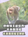 野兽领主新世界🔥长鼻猴技能全揭秘✨