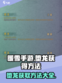 暖雪手游怎么刷不出堕龙介绍