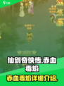 仙剑奇侠传新的开始赤血毒焰怎么样介绍
