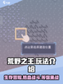 荒野之王🔥超好玩！游戏玩法全揭秘🎉