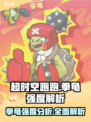 超时空跑跑拳龟介绍介绍