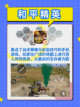 🔥6款精选多人游戏来袭！💥截图6