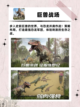 💥爆款恐龙游戏推荐，带你重回史前时间🎮截图5